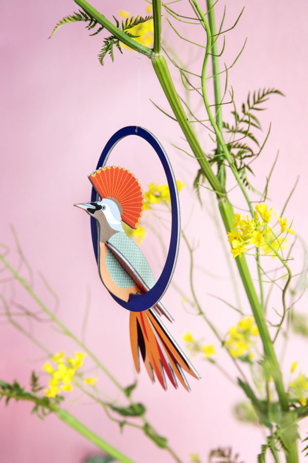 Swinging Obi couronné – Image 2