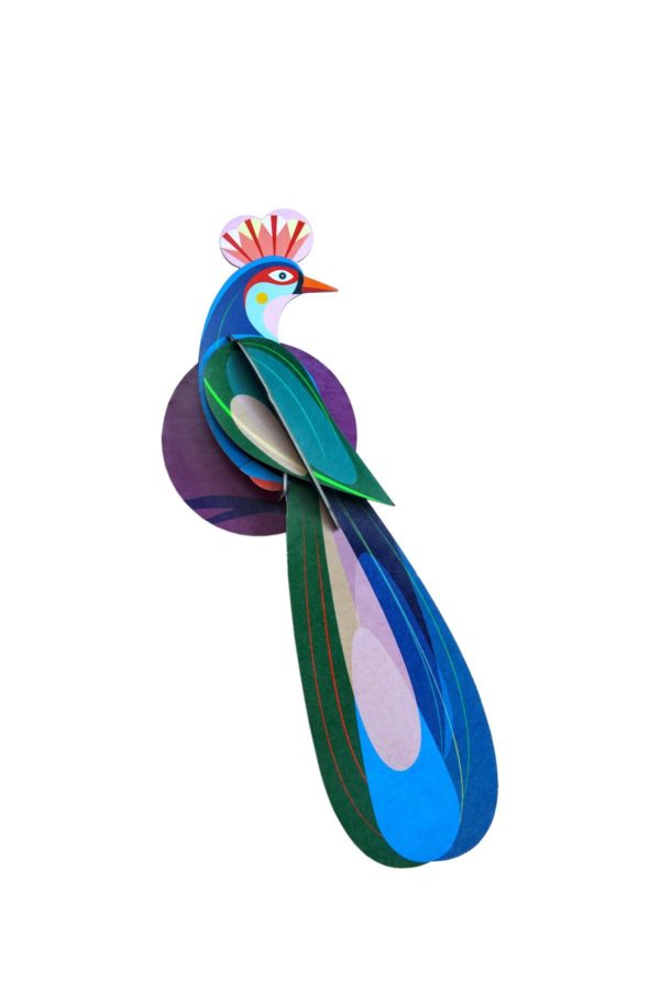 Oiseau de paradis Banda