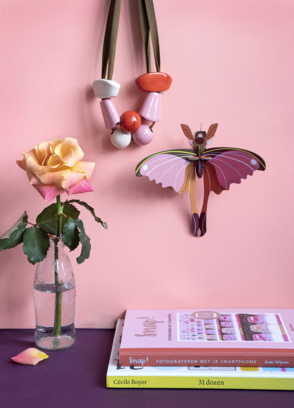 Papillon comète rose – Image 2