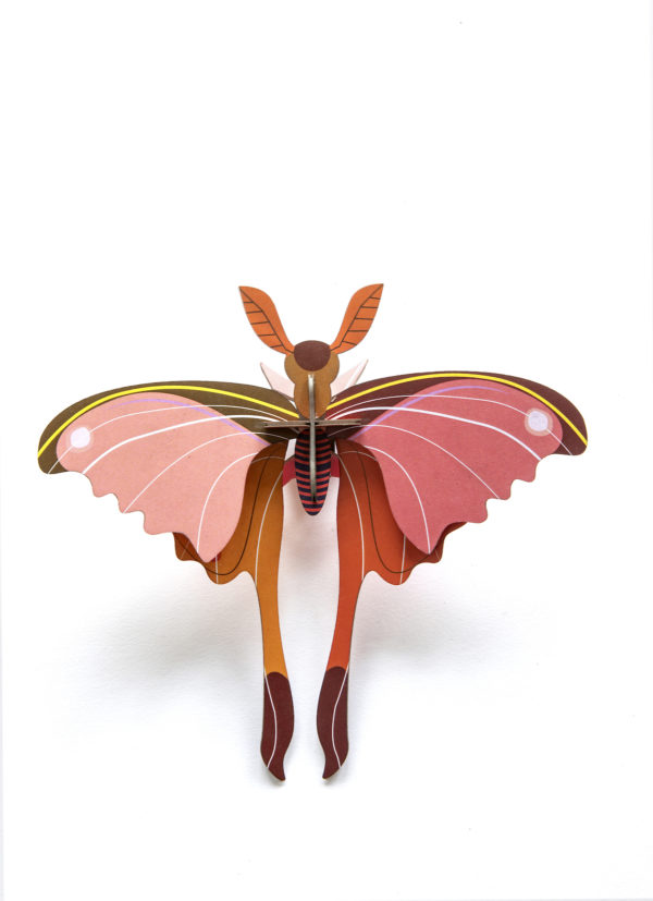 Papillon comète rose