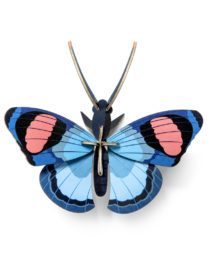 Papillon paon