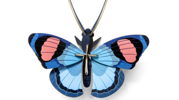 Papillon paon