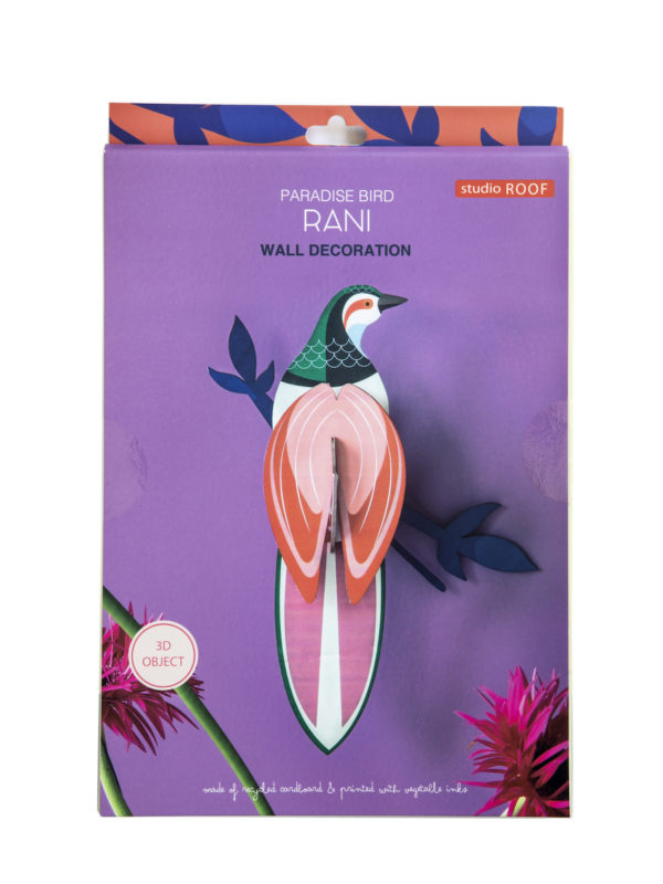 Oiseau de paradis Rani – Image 2