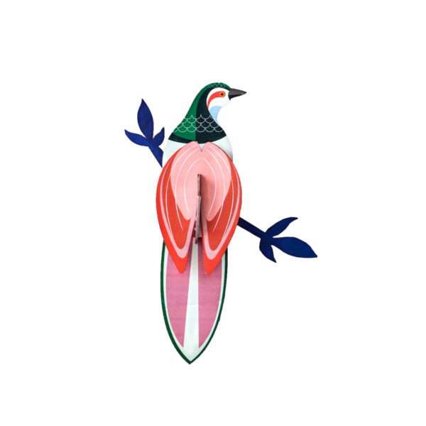 Oiseau de paradis Rani