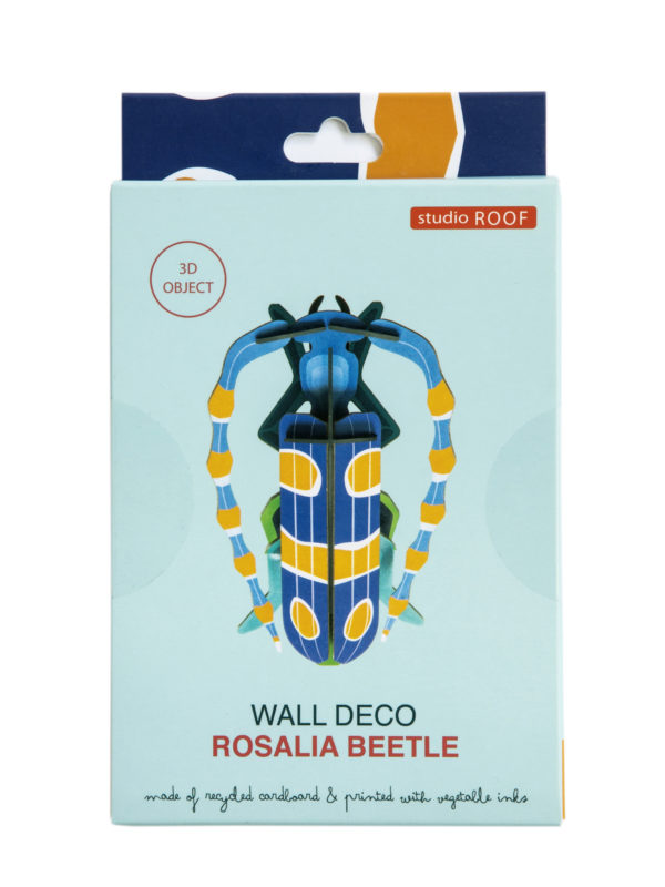 Coléoptère Rosalia – Image 2