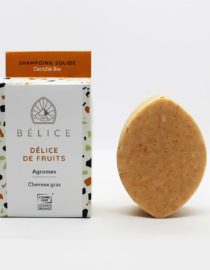 Shampoing solide "Délice de fruits"