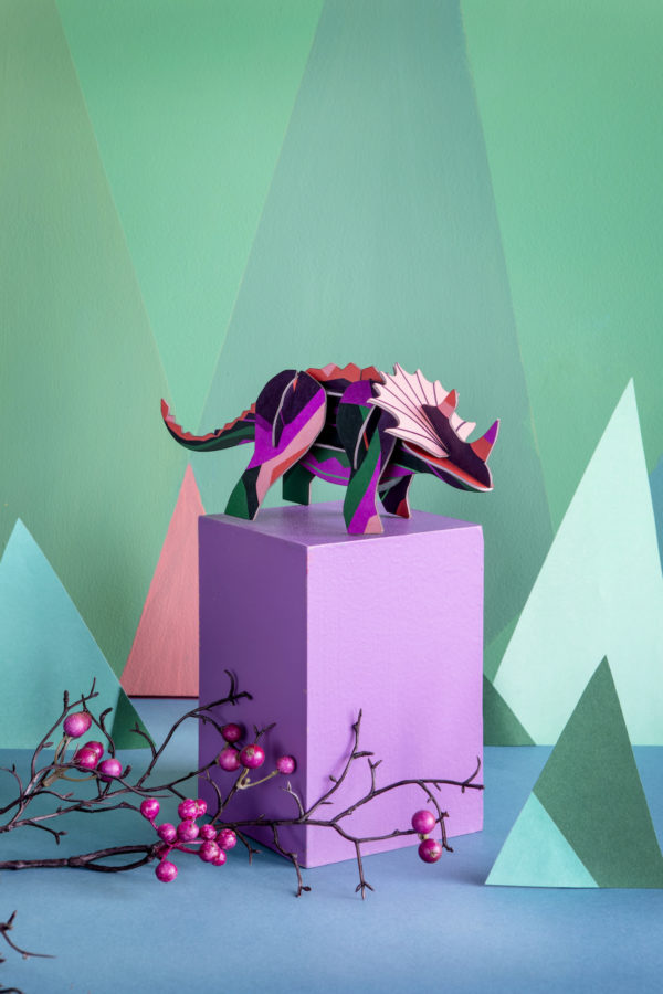 Triceratops – Image 3
