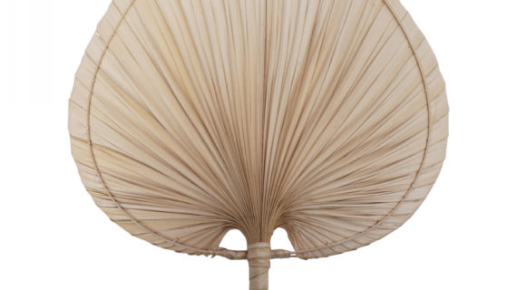 Deco Eventail Feuille Palmier Pm 30 H42cm