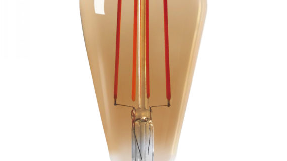 Ampoule LED Vintage (D.6,4xH.14,3cm) filament vertical 4W (E27)