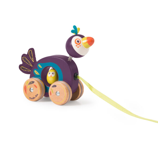 Animal à tirer Dans la jungle - toucan