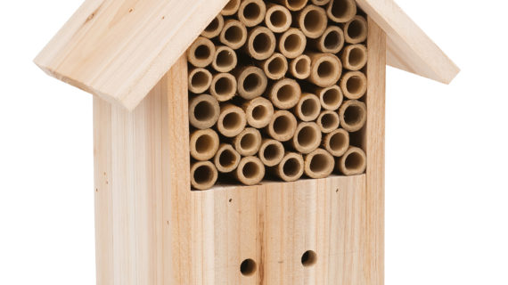 Hôtel à insectes Le jardin du moulin