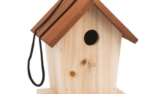 La cabane à oiseaux Le jardin du moulin