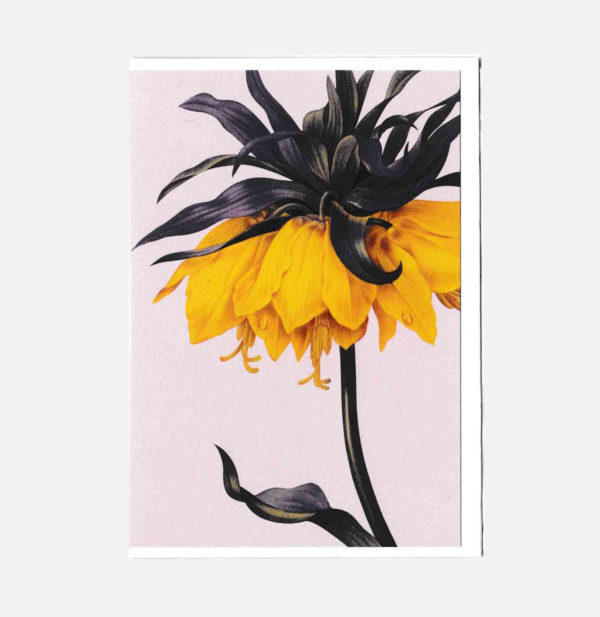 Carte double - Fleurs