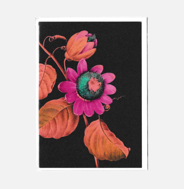 Carte double - Fleurs