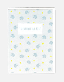 Carte double - Bienvenue au bébé