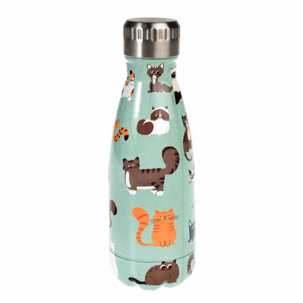 Petite bouteille en acier inoxydable Nine Lives 250ml