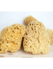 Eponge naturelle de Méditerranée pour le corps