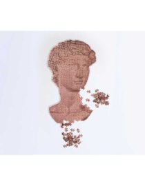 Puzzle Casse-tête David