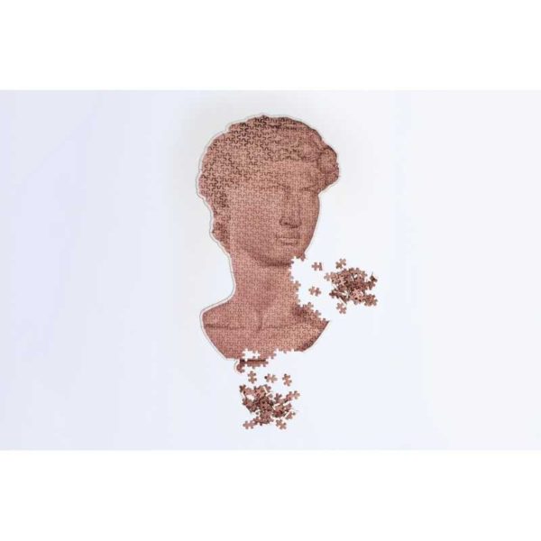 Puzzle Casse-tête David