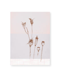 Carte simple A5 - Poppy Dust