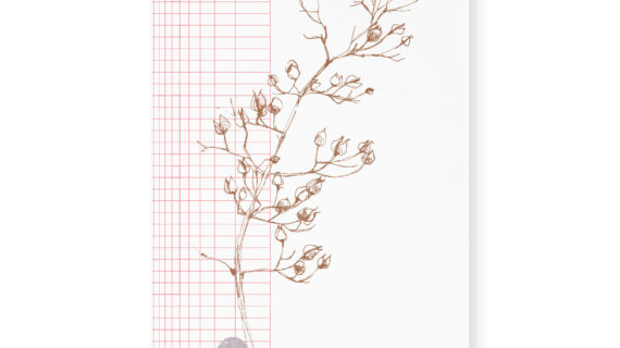 Carte simple A5 - Green grass grow on