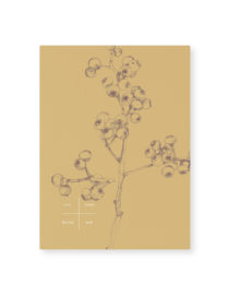 Carte simple A5 - Yellow Berry