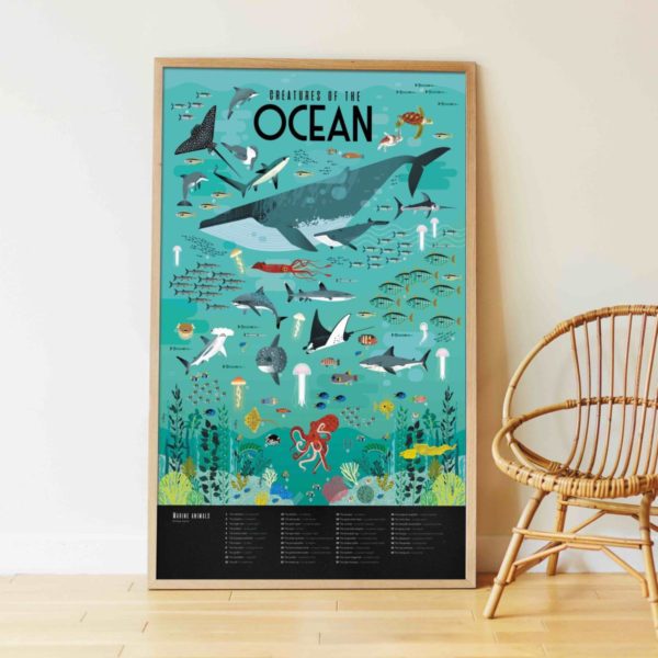 Poster en stickers - Océans (6-12 ans) – Image 4
