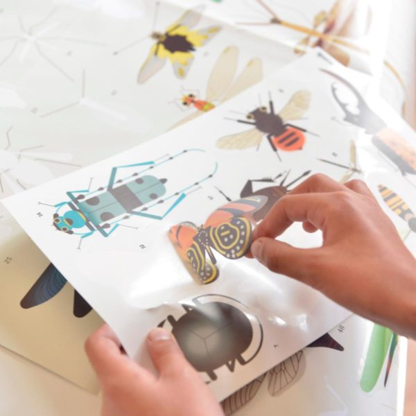 Poster en stickers - Insectes (5-12 ans) – Image 2