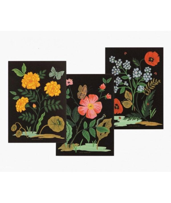Set de 12 cartes + enveloppes - Botanical - 12,7x17,8cm – Image 2