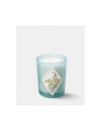 Bougie parfumée - Fleur de mimosa