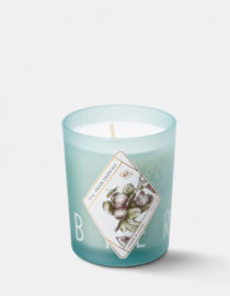 Bougie parfumée - Figue tropicale