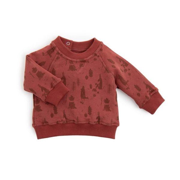 ELIOTT Sweat-shirt brique imprimé allover forêt Pomme des bois