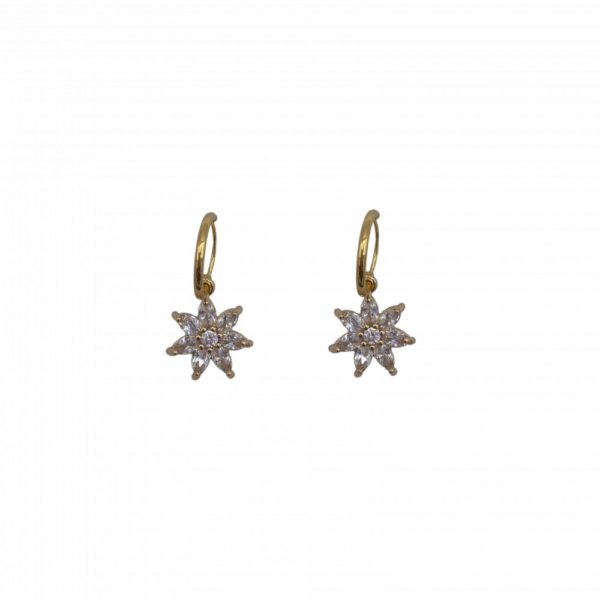 Paire de boucle d'oreilles fleur zicornia