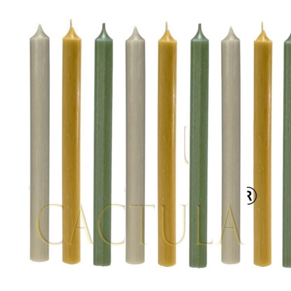 Bougies de dîner 28 cm 9 pcs en 3 couleurs | Charming