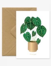 Carte double avec enveloppe Anthurium Clarinervium plant