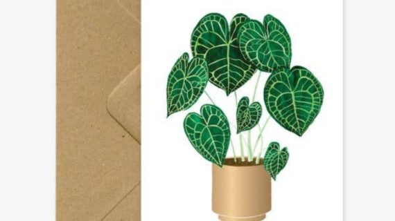 Carte double avec enveloppe Anthurium Clarinervium plant