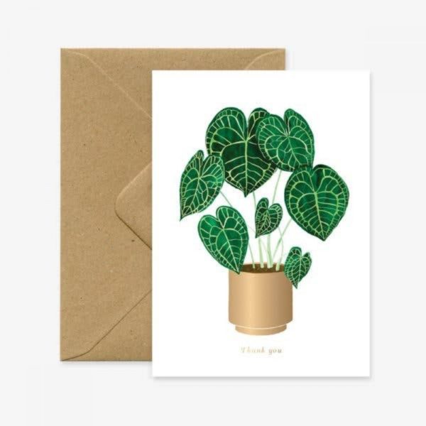 Carte double avec enveloppe Anthurium Clarinervium plant