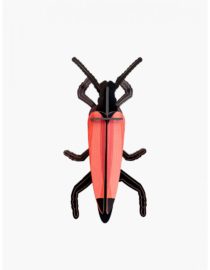 Longicorne