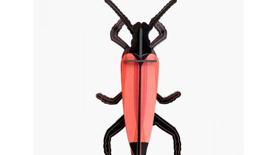 Longicorne