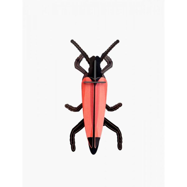 Longicorne