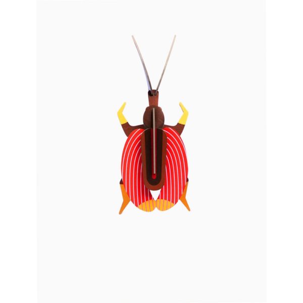 Scarabée violon