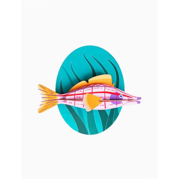 Poisson faucon à long nez