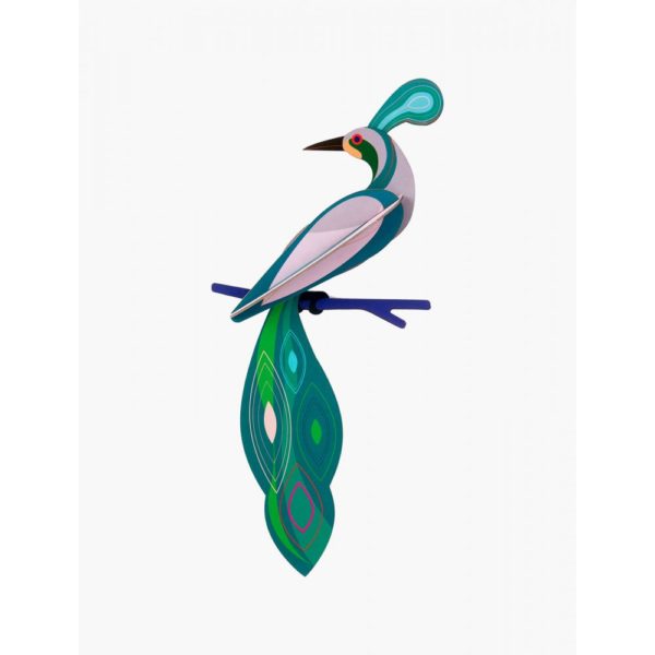 Oiseau de paradis - Fiji