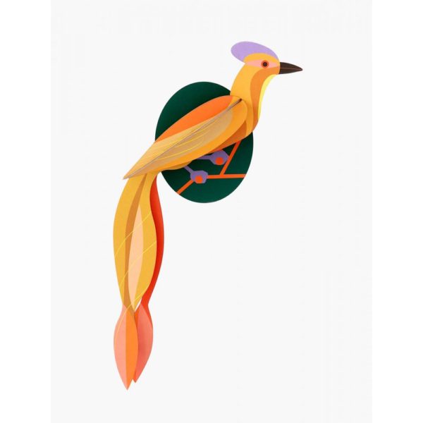 Oiseau de paradis - Olando