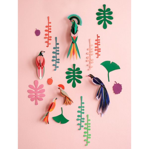 Mur des curiosités, oiseaux