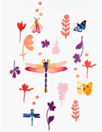 Mur des curiosités, insectes