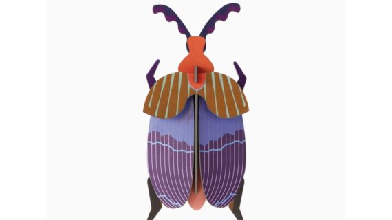 Scarabée Queen Beetle