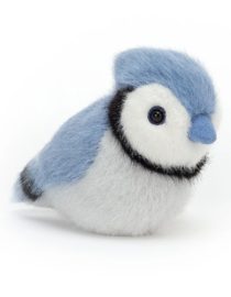 Birdling Geai bleu