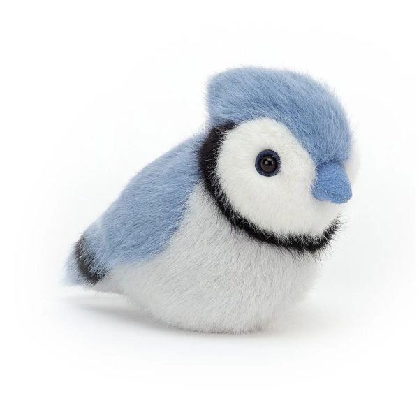 Birdling Geai bleu