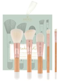 Set de pinceaux Professionnels